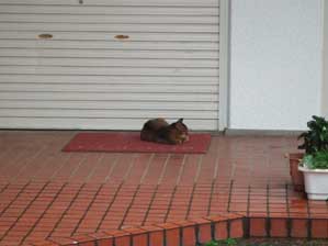 �o�J�����������Ă���I