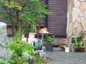 �����Ȃ���`