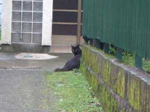 ���̂��U���Ȃ�ā@�D��ł��ȁ`