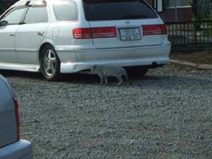 �N���N���@�N���N��