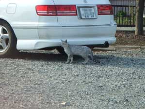 �N���Ɍ����Ă���I�@���o�C�@�L���t�F�`�Ȃ̂��o�������ȁH