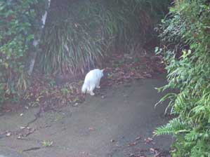 �킩��Ȃ����ǁ@�Ă�ł���񂾂�`