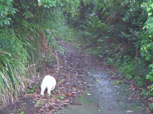 �����ā@�Ă�ł���񂾂���I