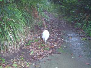 �N�����Ă�ł���`