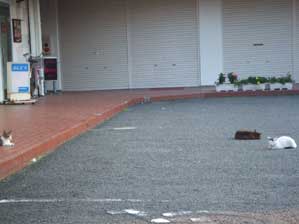 �т݂�`�`�ł���`�`��I