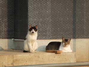 �܂��ǁ`�`�`�I