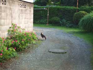 �����������`�`�`�`�I�@�ǂ������ǂ��֍s���Ă��I