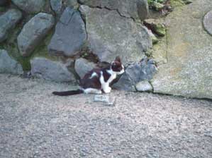 �܁`������I