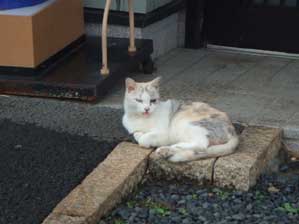 ������@�x�`�`