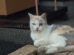 �ȂȂ񂾂�@�ȁI