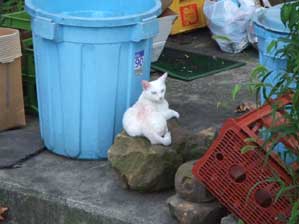 �{���ł���A�ł����̏��������C�ɗV��ł����������������܂���I�@�ق�I