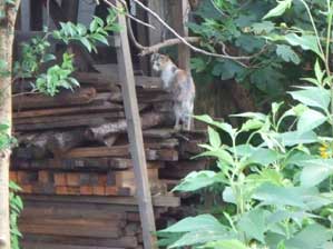 ���͑��v�I�@�ł����v����Ȃ�����������ɁI