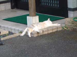 �����`�`�@�����`�`�@�����ăN���`