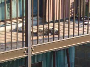 �����@������`