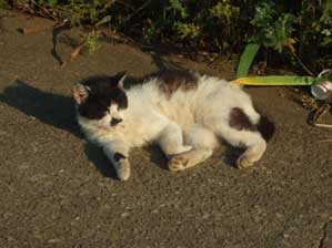 �܂�����I