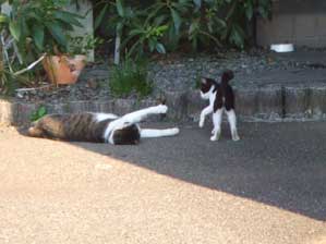 �ق�@�ق�@�������ɂ����ŁI