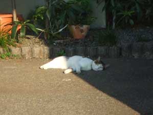 ���邳����ˁ`