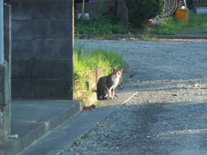 �����ł���I