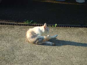 �����@�����ł����`�`