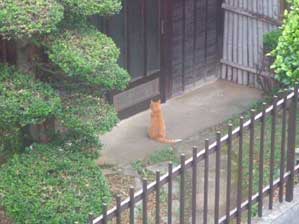 �s���|�[���I