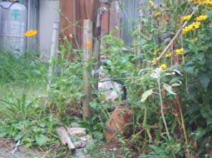 �����[�I