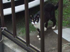 ��������I