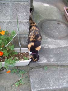 ���肢�I�@���肢�I�@���肢�I