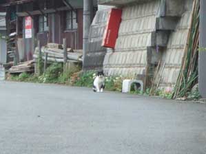 �S���ʂȂ񂾁`�@�l���āI