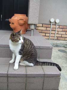 �E������