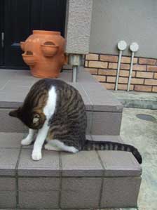 �����Ɖ�������