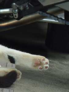 �O�����グ��