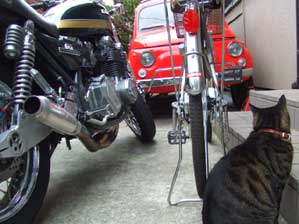 �C���������`�@�����Ƃ���āI