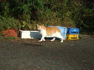 �����Ďʐ^�B���ł���I�@�u���Ȃ��悤�ɃW�`�Ƃ��Ă���̂�