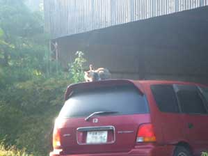 �C���t���Ă���Ă悩�����`�@