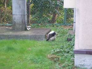 �����Ȃ��I