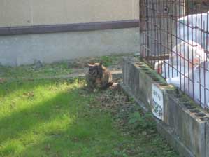 ���݂̌�����ԁI