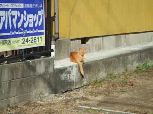 ����͋��s�ق���`