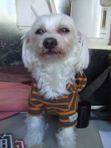 �������낢�@�炾�ȁ`���Ďv���Ă���̂�