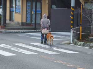 ���������U���y�����ȁ`