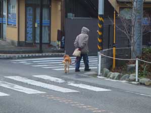 �łł��A�����@��ꂽ��[�I