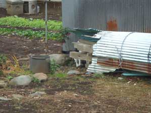 �₾�@�₾�@�I