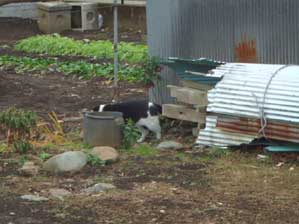 �₾�@�₾�@��Ή�����������I