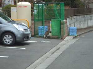 ����@��Ή�������͂�