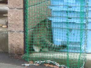 ��΂���񂾁[�[�[