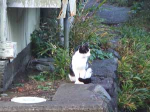 �ււււց[�[�I�@�������B