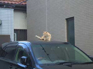 �ł́@�����グ�܂��傤