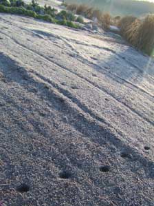 �e�P�e�P�e�P�e�P