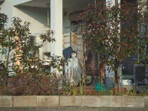 �����@���͂悤�I�@