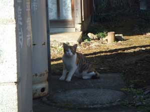 ����@�l�͏��߂Ă���!