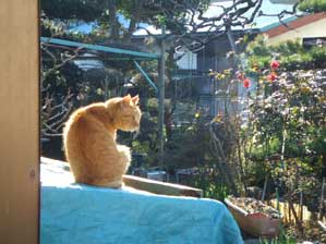 ��������`�@�C�����������`